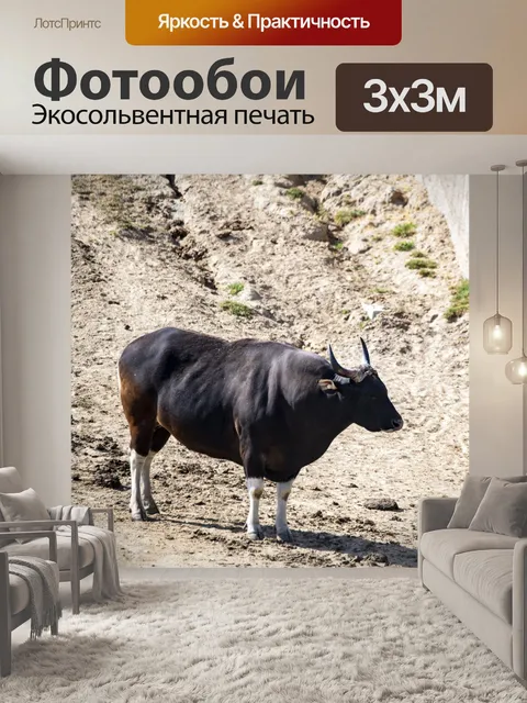Фотообои дикая природа крупного рогатого скота