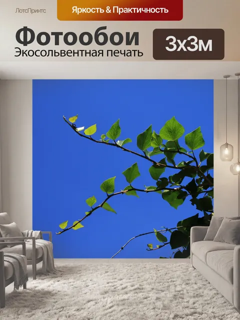 Фотообои плющ стрелять на фоне неба
