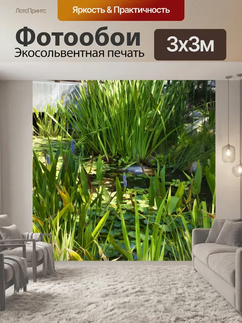Фотообои Пруд с лилиями