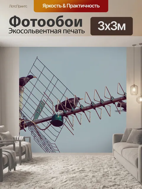 Фотообои Антенна
