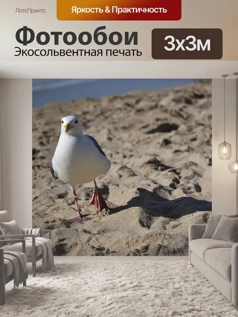 Фотообои Чайка