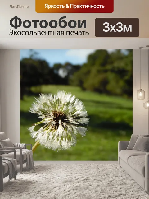 Фотообои Одуванчик