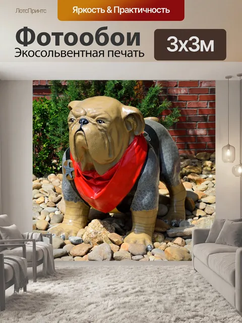 Фотообои Окрашенный бульдог