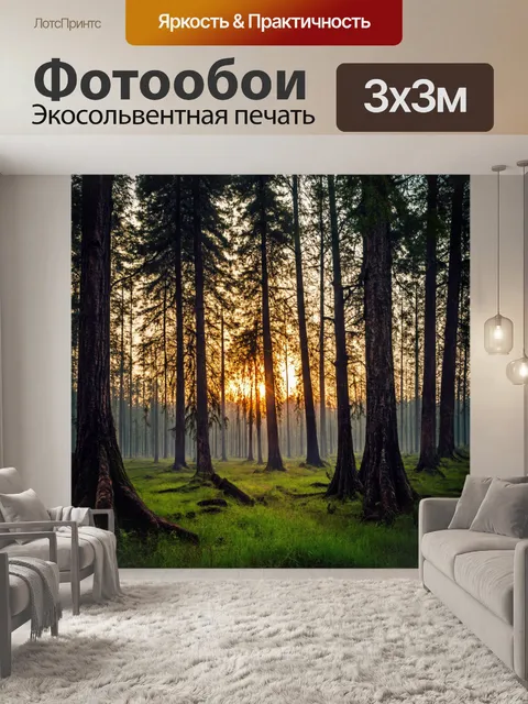 Фотообои мрачный лес с древними деревьями, закат за горизонтом, таинственная атмосфера