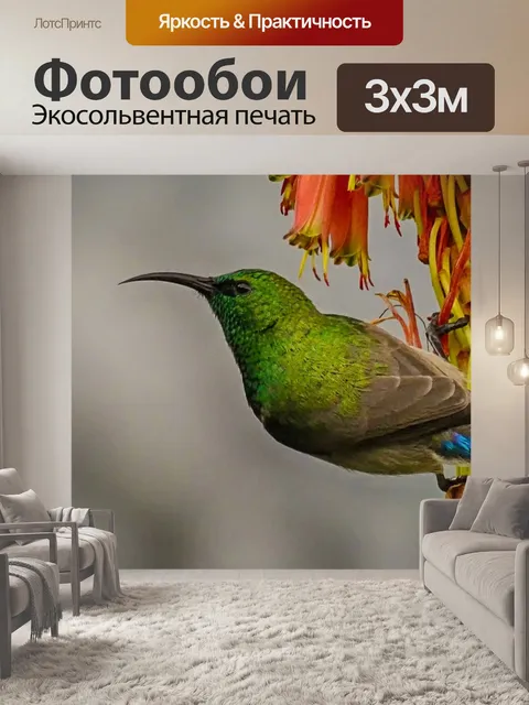 Фотообои Солнечная птица