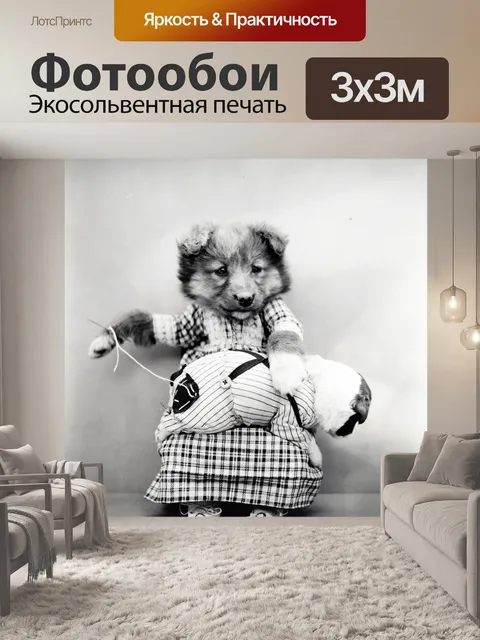 Фотообои Симпатичные собаки Vintage Photo