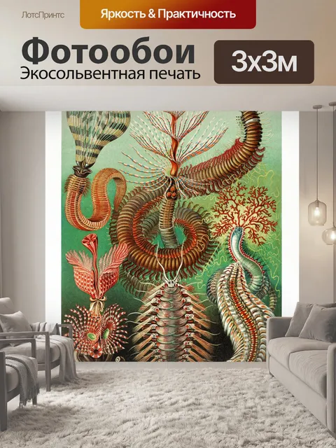 Фотообои Коралловый риф морская звезда старинное