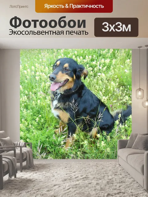 Фотообои Смешанные породы собак