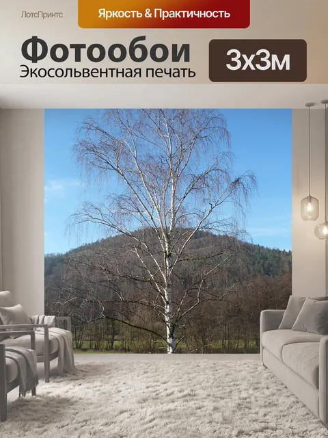 Фотообои Береза