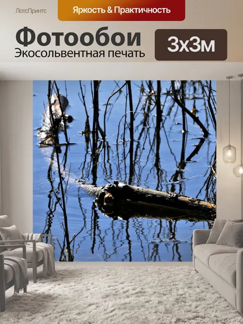 Фотообои Филиалы в Marsh