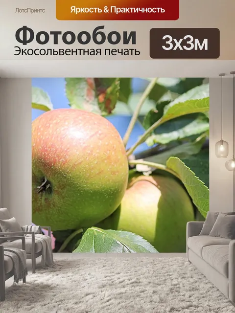 Фотообои Яблоко