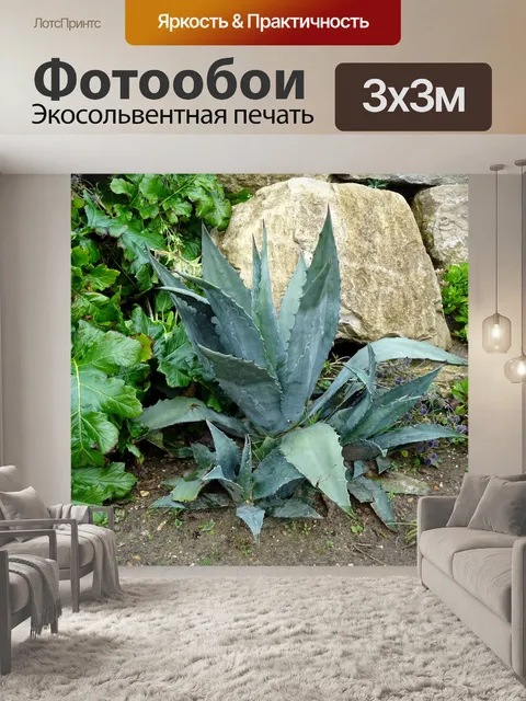 Фотообои Флора в скальном саду