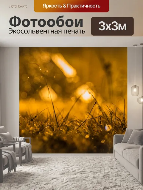 Фотообои Ночь