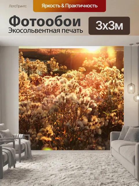 Фотообои Восход солнца
