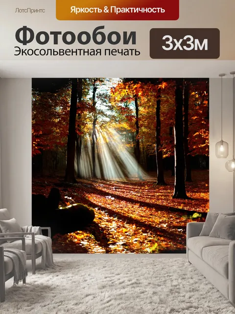 Фотообои в густом осеннем лесу