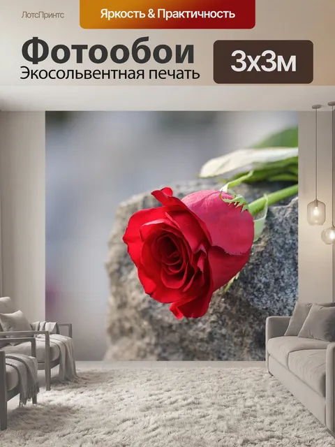 Фотообои Красная роза