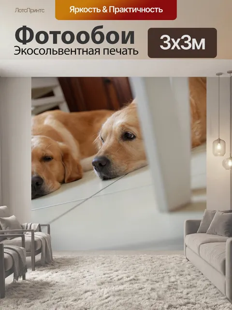 Фотообои Собака