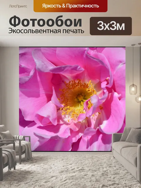 Фотообои Крупный план