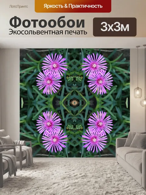 Фотообои розовый vygie отражает