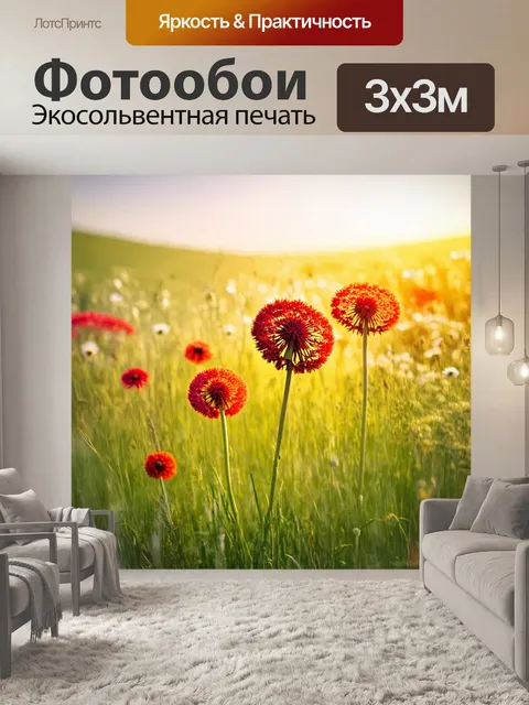 Фотообои красные одуванчики, цветущие на лугах, создавая яркую атмосферу весны и жизни