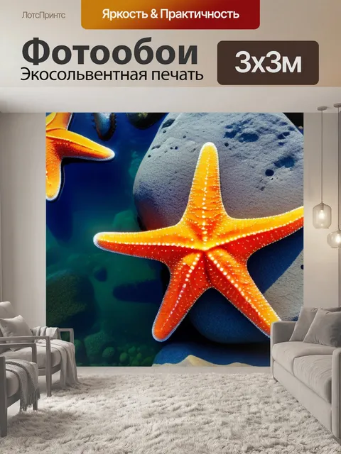 Фотообои море с яркими морскими звёздами на камнях