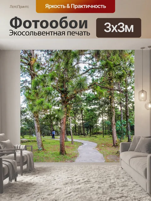 Фотообои Национальный парк Фуруа, Лоэй Таиланд