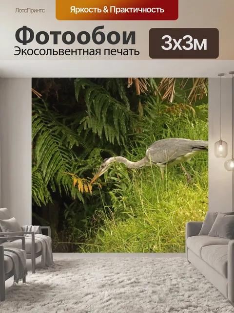 Фотообои серая цапля на склоне травы
