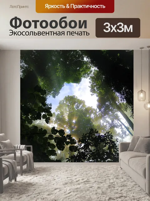 Фотообои Лес