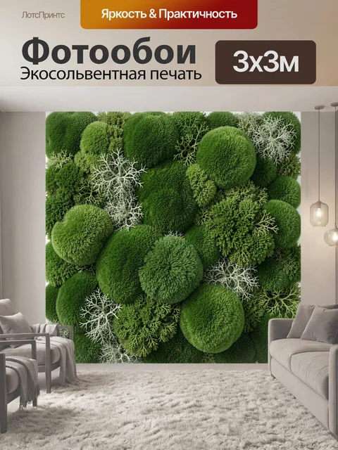 Фотообои Зеленая композиция из мха и лишайника
