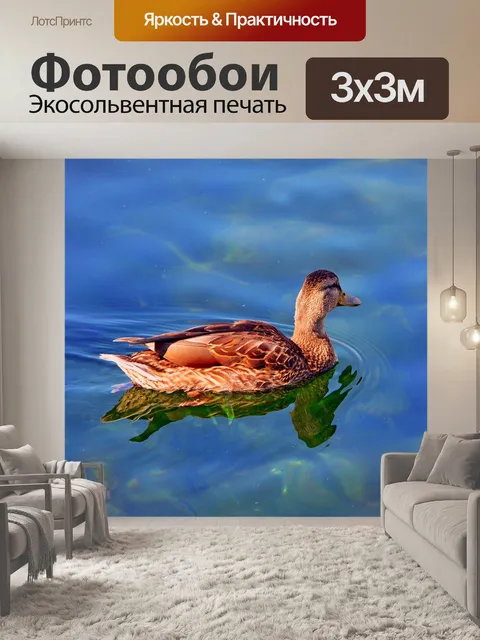 Фотообои Утка