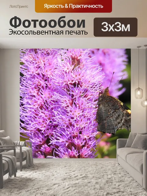 Фотообои Лиатрис