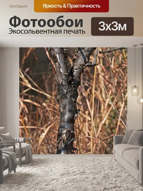 Фотообои облупившаяся кора на стволе серого дерев