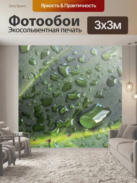 Фотообои Капли воды
