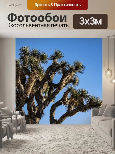 Фотообои Дерево Джошуа в пустыне