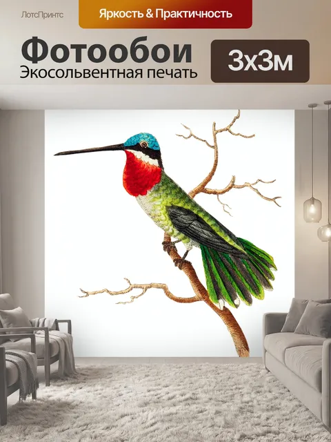 Фотообои Колибри птица старинное искусство
