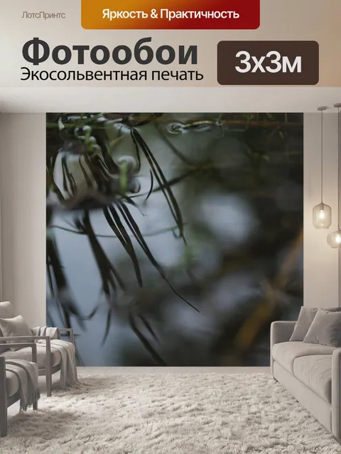 Фотообои Макро