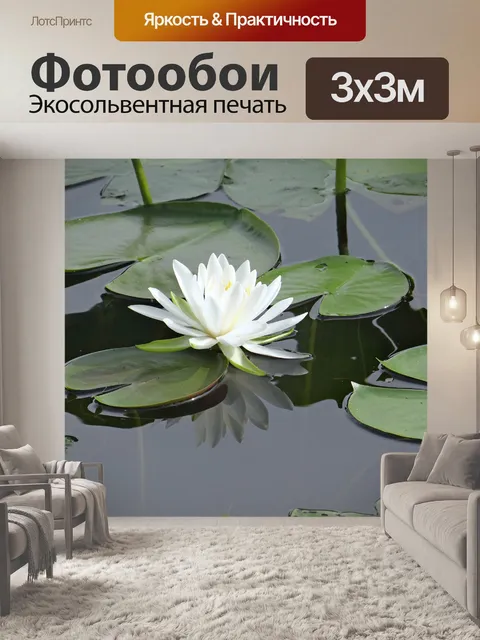 Фотообои Одинокая лилия