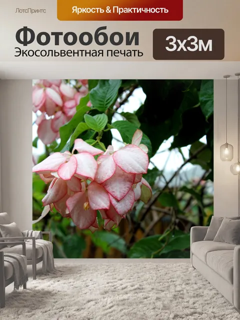 Фотообои Розовые цветы