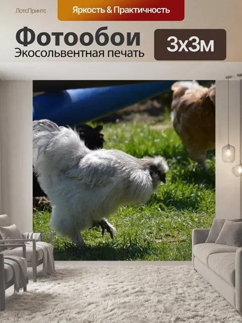 Фотообои Seidenhuhn