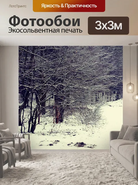Фотообои Лес