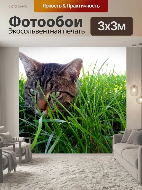Фотообои Кот в траве