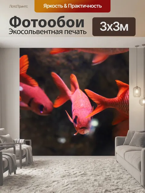 Фотообои Рыбы