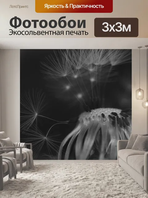 Фотообои Одуванчик