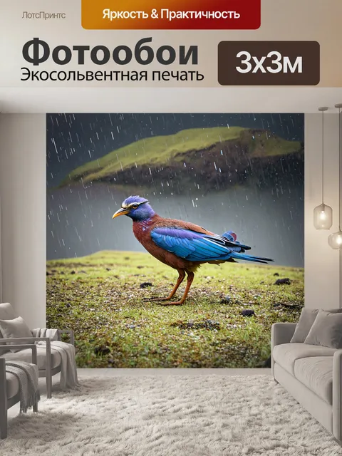 Фотообои птица с экстравагантным оперением позирует на фоне плато с ударами дождя воты