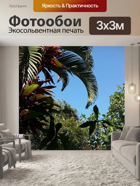 Фотообои Пальмы