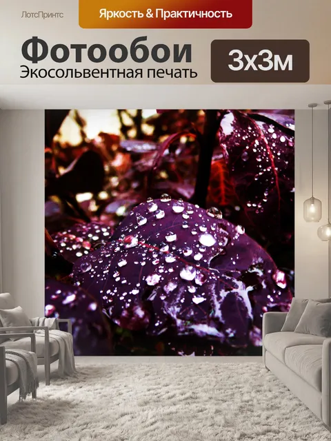 Фотообои листьев и капель воды