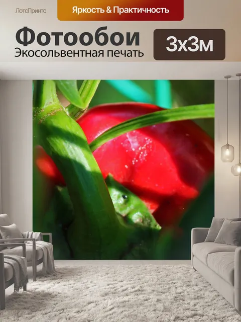 Фотообои близкий проблеск красного сладкого перца