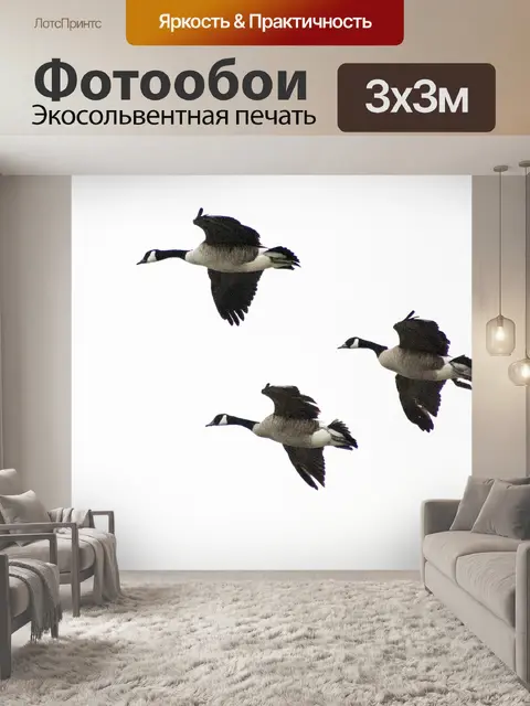 Фотообои Гуси