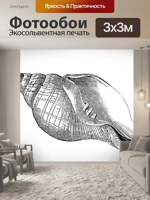 Фотообои Винтажное искусство ракушек старое