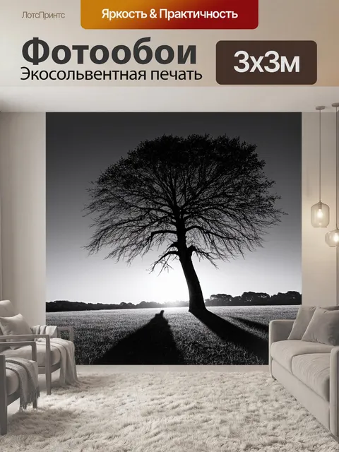 Фотообои одинокое дерево на западе с растяжением длинных теней